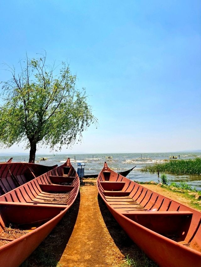 A Relaxing Day in Kunming