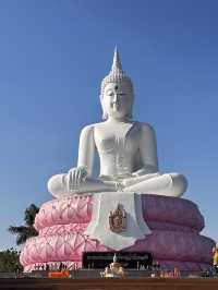 นั่ง Royal blossom ไปหาความสุขกัน