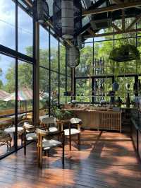 คาเฟ่ในป่าภูเก็ต