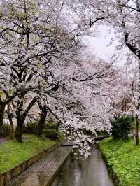 Shukugawa Park