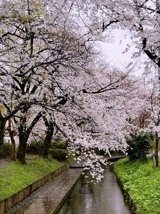 Shukugawa Park