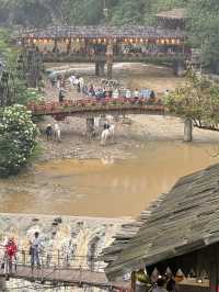 沙唄市必去的貓貓村