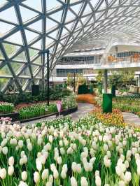 📍: Miracle of Natural🌷โครงการ PTT LN