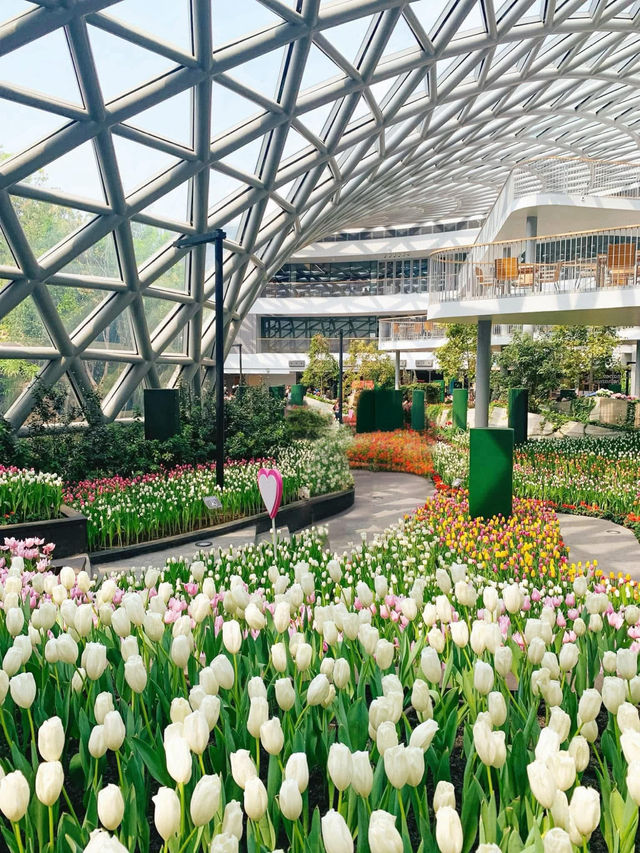 📍: Miracle of Natural🌷โครงการ PTT LN
