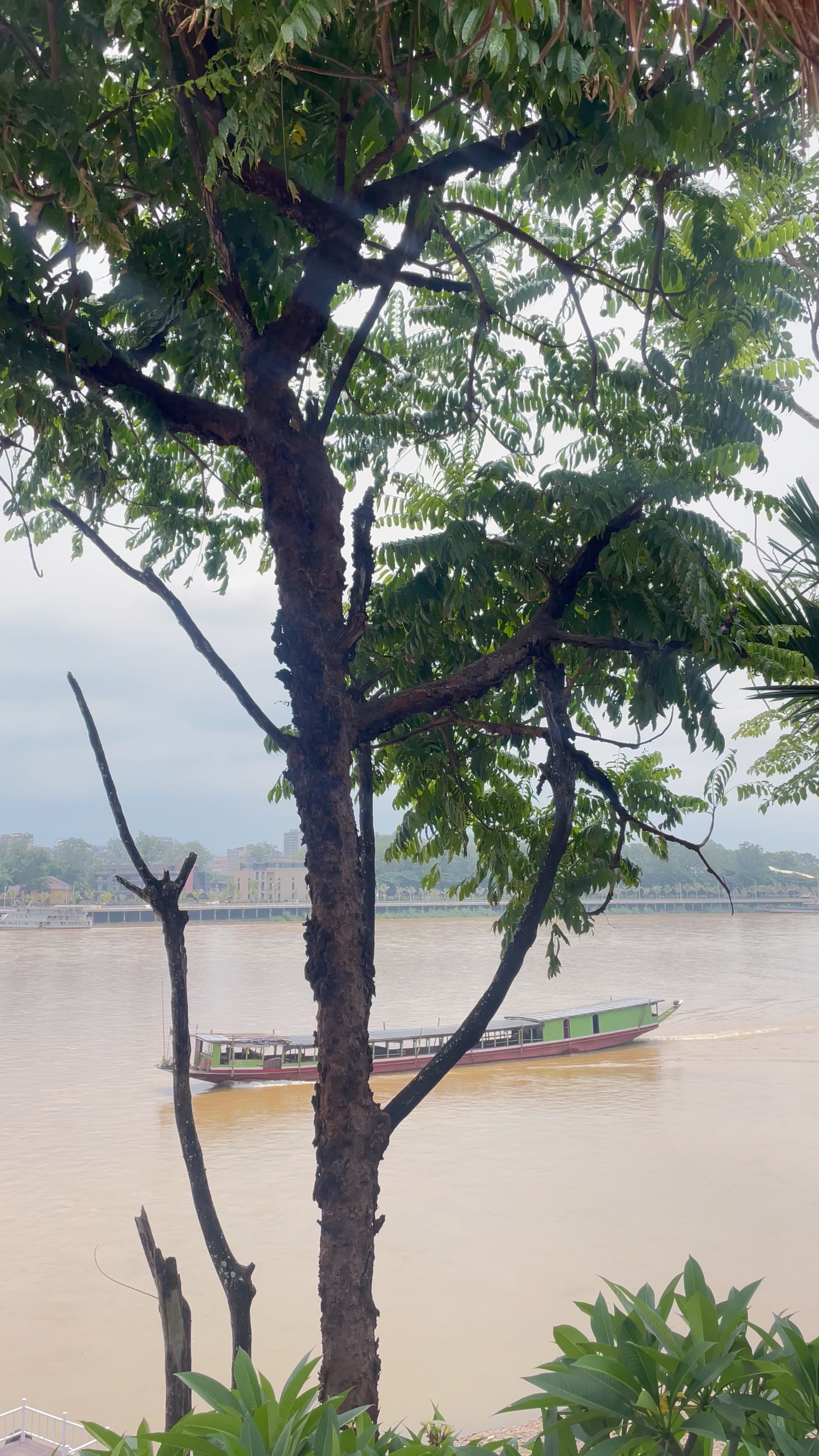 คาเฟ่ไม่ลับ ติดน้ำโขง | Trip.com อำเภอ เชียงแสน 