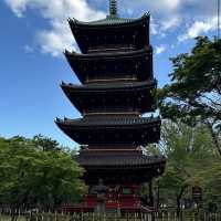 上野公園 (Ueno Park)