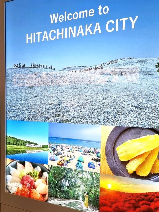 A PEACEFUL SPRING GETAWAY IN THE EASTERN KANTO REGION