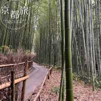 【京都】絶景列車と舟旅で楽しむ、嵐山1日満喫コース