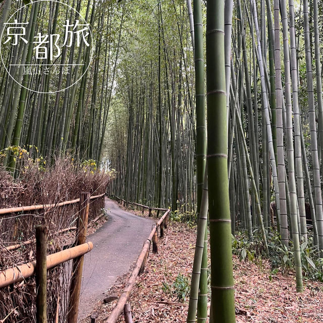 【京都】絶景列車と舟旅で楽しむ、嵐山1日満喫コース