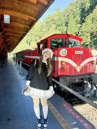 alishan national park