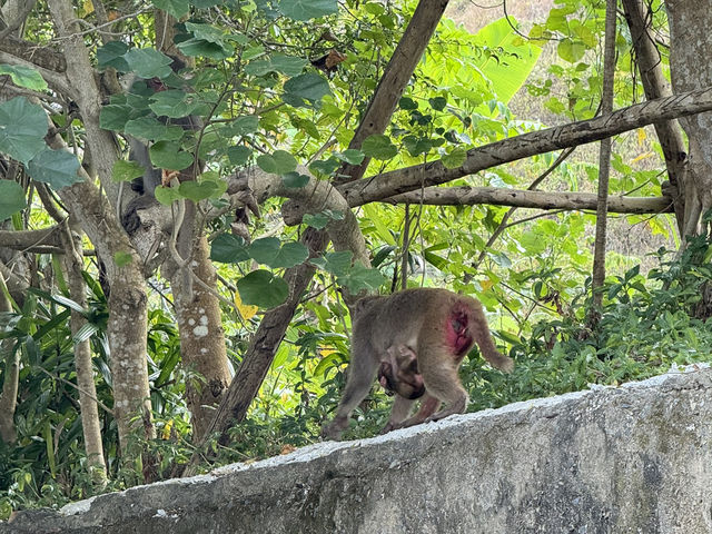 - Đà Nẵng - Hội An