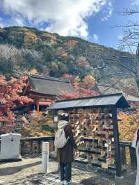 Kiyomizu-dera Temple kyoto 🇯🇵