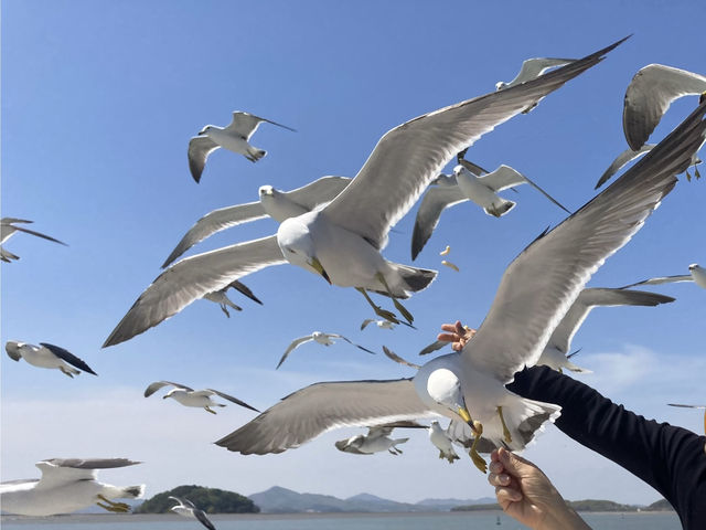 갈매기의고장 인천으로 고고씽🎶