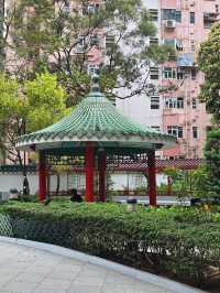 Hollywood Road Park 🏞️