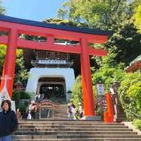 Spiritual Serenity at Enoshima Shrine
