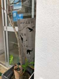 宿泊もできるおしゃれカフェ！MEEDAFU'S YUI HOSTEL and COFFEE