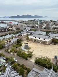 A Slow Day in Imabari – Castles, Shrines & Seaside Calm