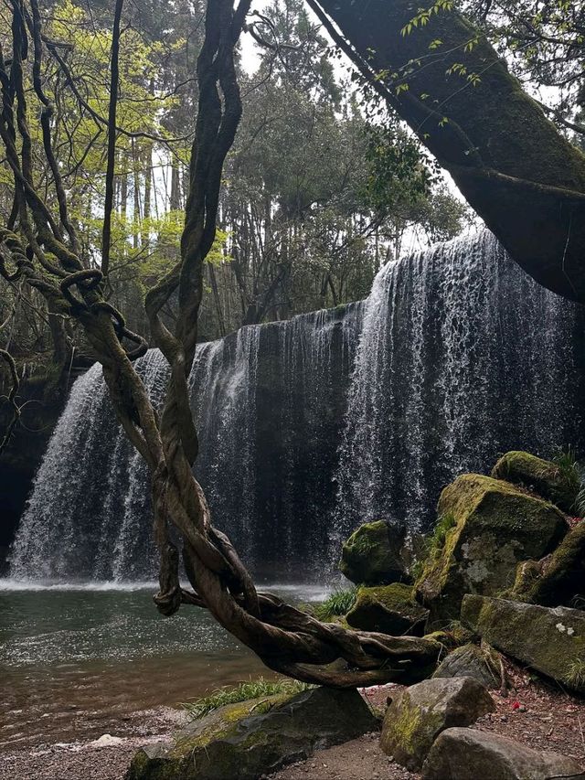 Easy Breezy Nature Escape