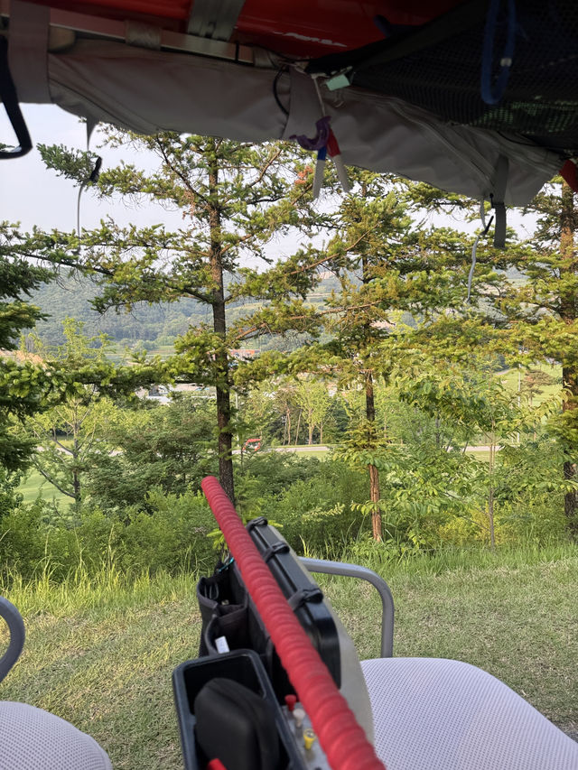 조아 즐거뤄