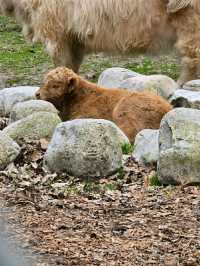High Park – Where Nature Meets the Heart of Toronto