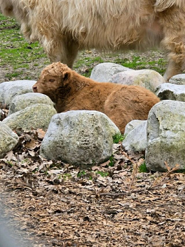 High Park – Where Nature Meets the Heart of Toronto