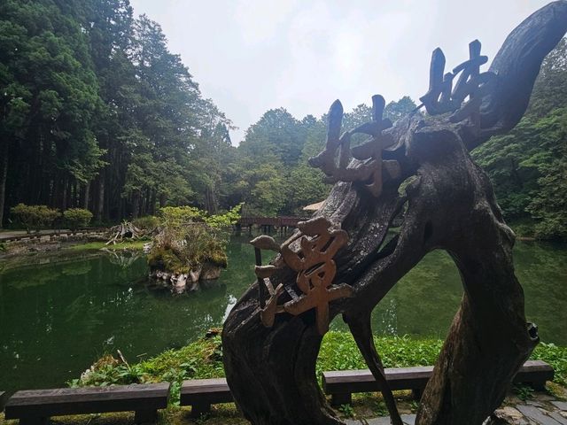行！走入超完美芬多精仙境～阿里山森林公園