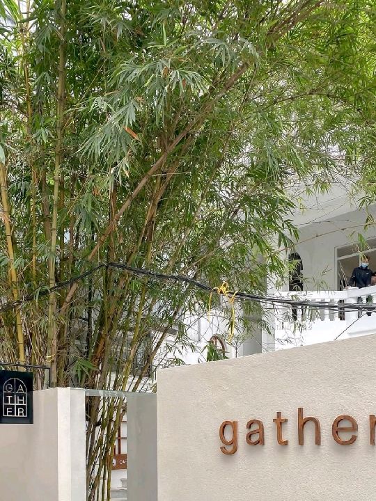 Gather Vietnam