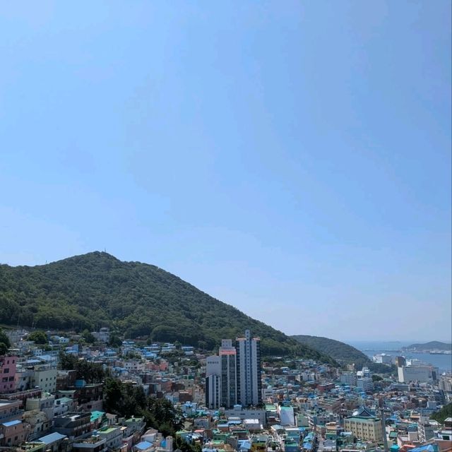 Colorful Hillside Wanderland