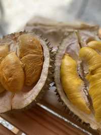 Penang | Durian Lover 2025.05.31
