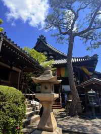 大阪｜到葛井寺看紫藤白藤 1300年11面千手觀音神像近距離參拜