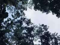 Lata Changkah: Where Vibes Meet Slippery Rocks