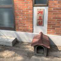 【🇰🇷首爾國立民俗博物館】景福宮旁高cp值免費景點