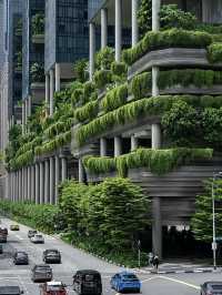 สิงคโปร์🇸🇬