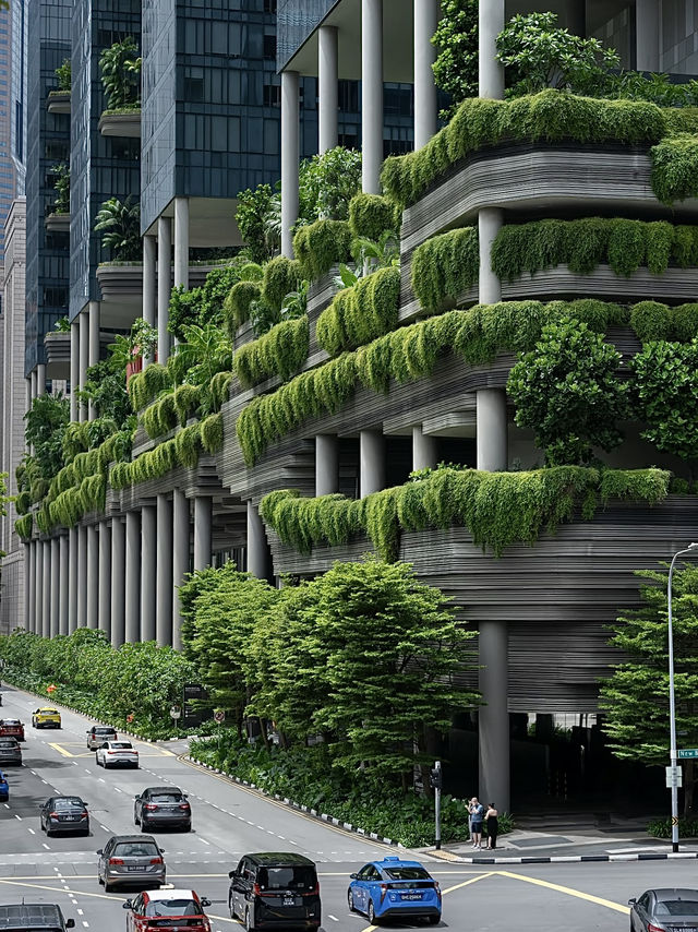 สิงคโปร์🇸🇬