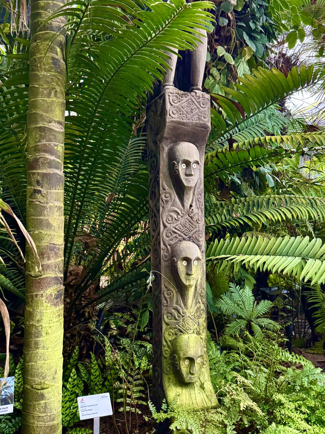 Cloud Forest — A Cool Summer Escape in Singapore’s Urban Jungle
