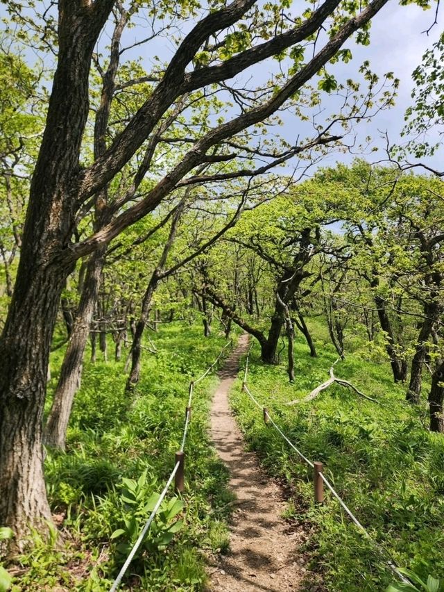 Wandering Through the Clouds at Heavenly Garden
