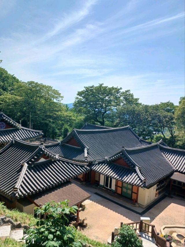 봄 햇살 아래 데이트 명소