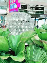 Changi Airport Terminal 3: A Luxe Shopping and Leisure Haven