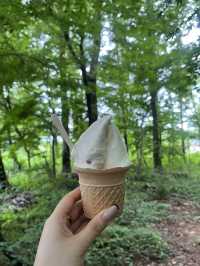 🍦【岩手・雫石 松ぼっくり】自然の恵みがギュッと詰まった牧場ジェラートで、季節を味わうひととき