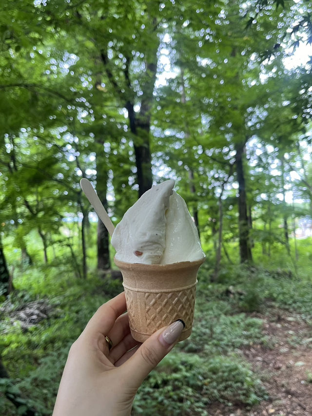 🍦【岩手・雫石 松ぼっくり】自然の恵みがギュッと詰まった牧場ジェラートで、季節を味わうひととき