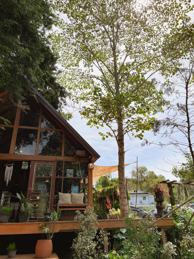 🍃 คาเฟ่ลับริมน้ำตก บางพระ ศรีราชา 🌿 