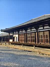 閒逛富江戶時代特色的奈良町