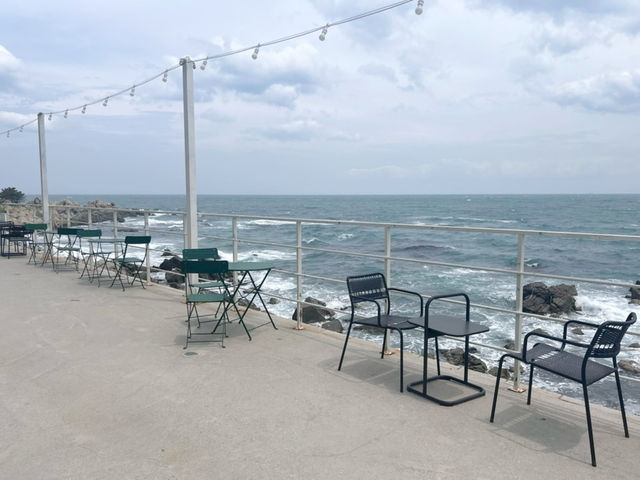 경주 동해바다 앞에 이런 감성카페가? 🌊