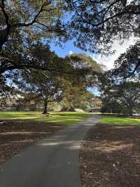 Chill out at observatory hill park