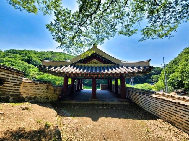 History, Forest, and Chill Vibes