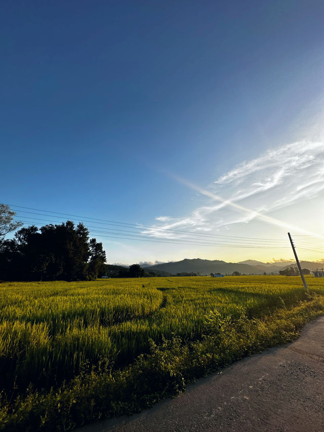 Surkhet the gateway of Jumla and rara 