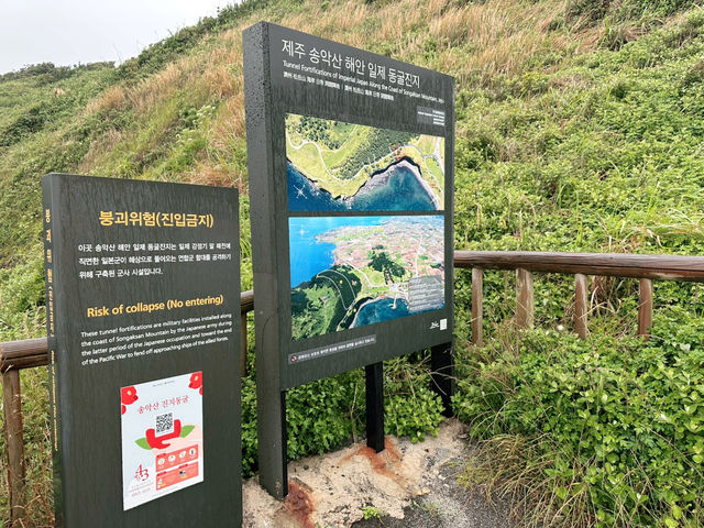 ☔️ 비오는 날, 송악산 일제 해안동굴진지 