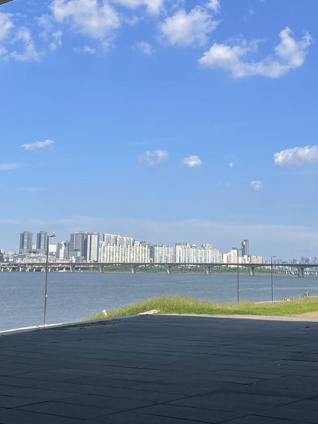🌿 햇살 가득한 날, 한강공원에서 보내는 느긋한 오후 🚲