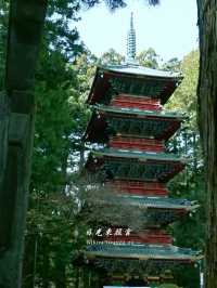  🏯【日光東照宮】眠り猫と陽明門、神の美が宿る世界遺産へ