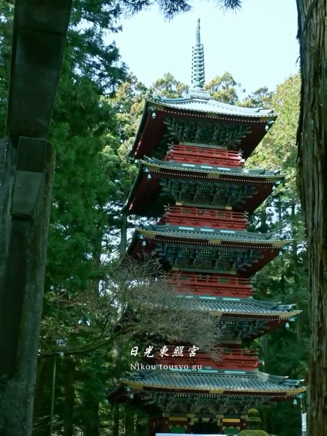  🏯【日光東照宮】眠り猫と陽明門、神の美が宿る世界遺産へ
